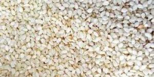 White Sesame Seeds