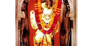 World Famous Best Astrologer