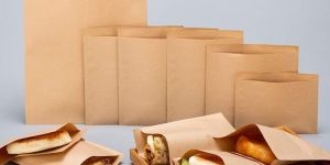 Brown Paper Food Bag