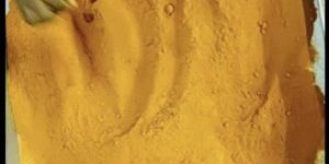 Turmeric Powder