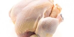 Halal Frozen Whole Chicken