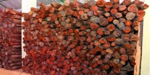 Red Sandalwood Logs