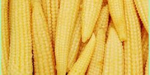 Baby Corn
