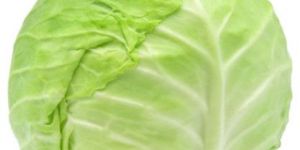 Cabbage