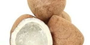 Natural Dried Coconut