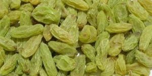 Green Dried Grapes