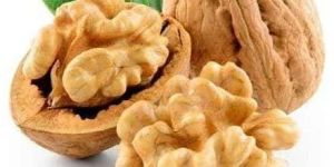 Kashmiri Walnut