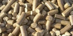 Briquettes Agro Waste