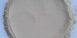 Calcium Bentonite Powder