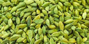 Green Cardamom
