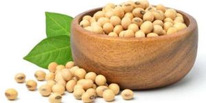 Soyabean