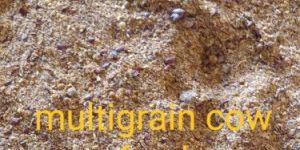 Multi Grain Cattle Feed