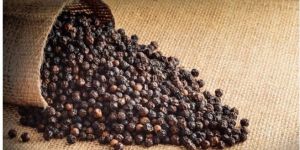 Black Pepper Seed