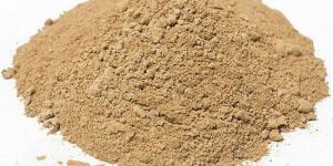 Lions Mane Mushroom Dry Extract