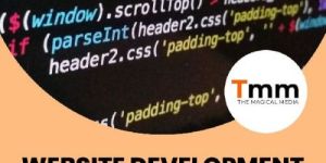 Website Designing & Development