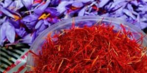 Kashmiri Saffron