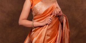 Banarasi Dyeable Tissue Printed Saree