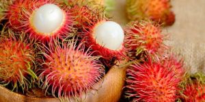 Rambutan
