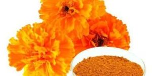 Marigold Flower Powder