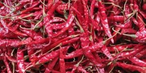 Dehydrated Red Chilli