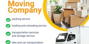 Loading Unloading Services