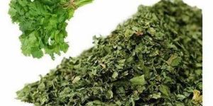 Dried Coriander Leaves