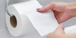 Plain Toilet Paper Roll