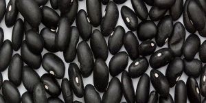 Black Kidney Beans