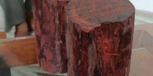 Red Sandalwood