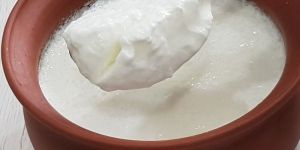 Fresh Curd