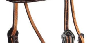 Leather Horse Bridle