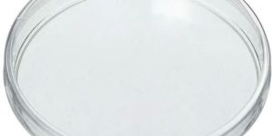 Glass Petri Dish