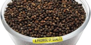 Black Pepper