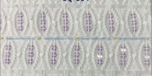 Schiffli Sequins Fabric