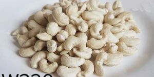 Cashew Nuts