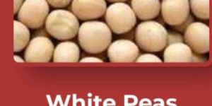 White Pea