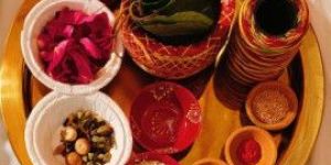 Astrologer Services