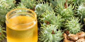 Castor Oil Rafined PREMIUM QUALITY