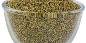 Green Millet Seeds