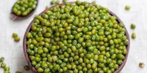 Green Mung Beans