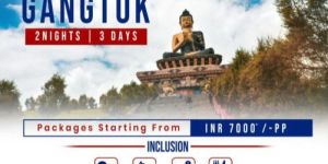 Tour Operators in Siliguri Goodwill Tour and Travel