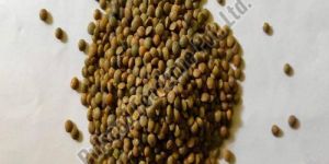 Green Masoor Dal