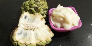 Natural Custard Apple Pulp