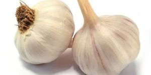 Fresh Garlic