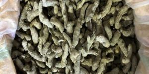 Natural Turmeric Finger