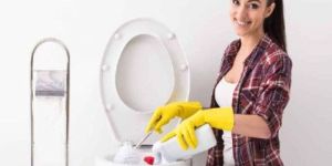 Toilet Cleaning Services