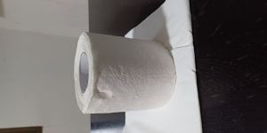 Toilet Paper Roll