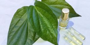 Natural Betel Leaf Oil