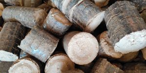 Sawdust Briquette