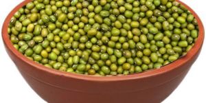 Richbloom Green Gram Seeds